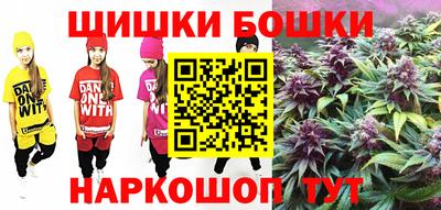 индика Гусь-Хрустальный