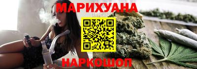 индика Гусь-Хрустальный